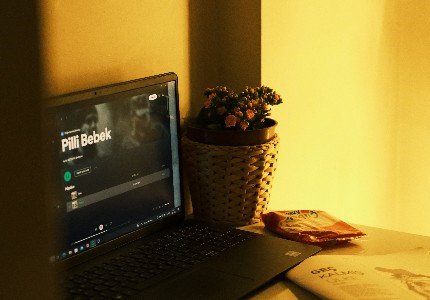 深夜发圈怕撞款,这波网名自带私藏滤镜